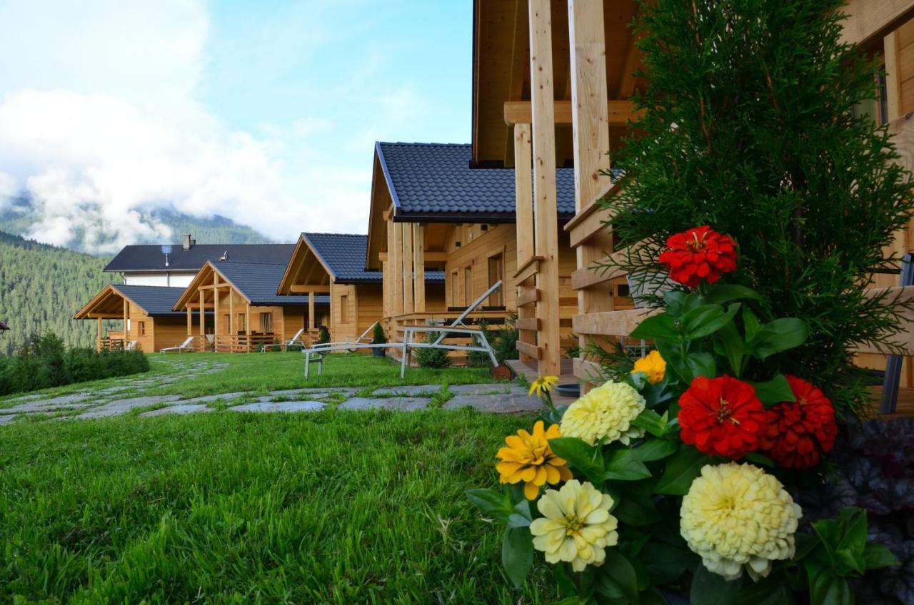 Alpenchalets Mair Chalet Sexten